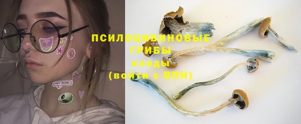 спиды Абаза