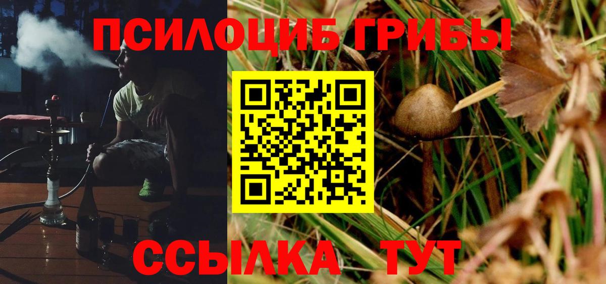 Галлюциногенные грибы MAGIC MUSHROOMS  Галлюциногенные грибы Magic Shrooms  Вход с VPN  Красноармейск 
